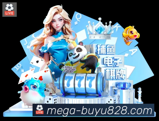 奖项证书